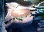 06-06-06_2104.jpg