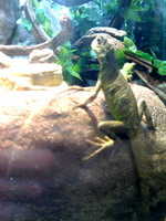 06-06-06_2142.jpg