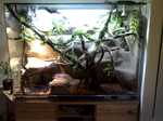 07-03-06_0035.jpg
