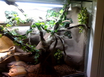 07-03-06_0039.jpg