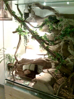 07-03-06_0051.jpg
