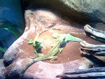 10-09-06_2119.jpg