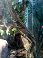 11-06-06_1212.jpg